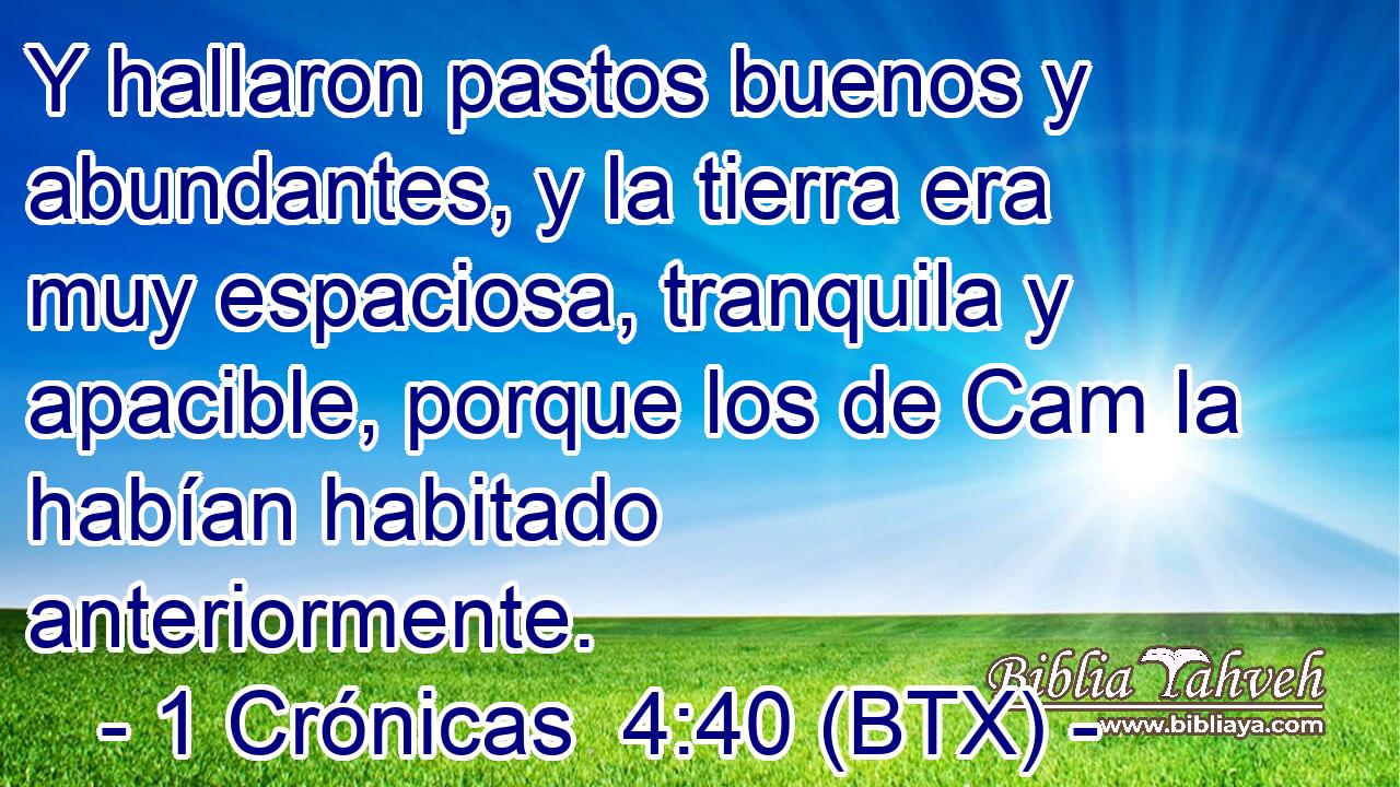 Y hallaron pastos buenos y abundantes, y la tierra era muy espaciosa, tranquila y apacible, porque los de Cam la habían habitado anteriormente.