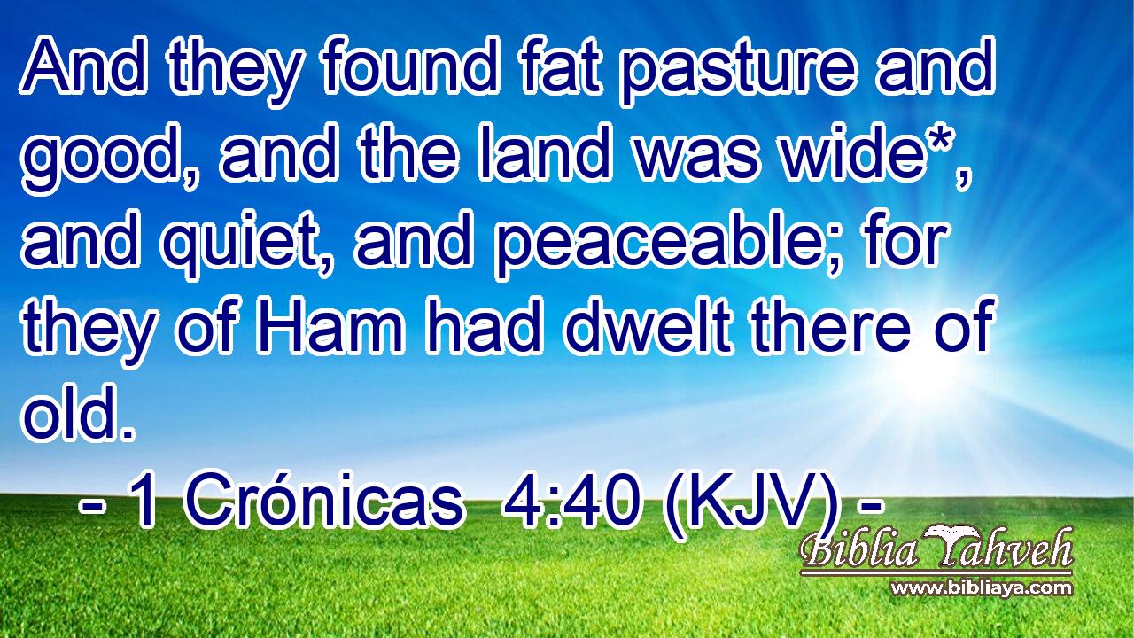 And they found fat pasture and good, and the land was wide*, and quiet, and peaceable; for they of Ham had dwelt there of old.