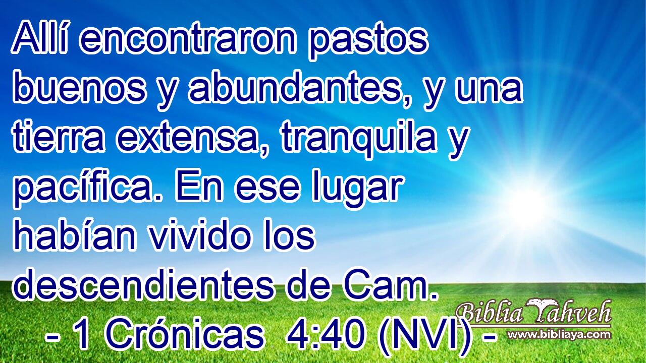  Allí encontraron pastos buenos y abundantes, y una tierra extensa, tranquila y pacífica. En ese lugar habían vivido los descendientes de Cam. 