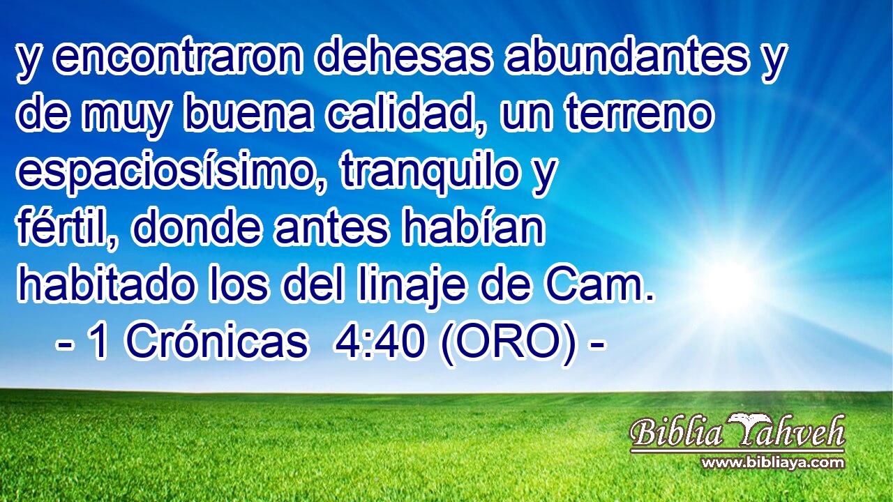  y encontraron dehesas abundantes y de muy buena calidad, un terreno espaciosísimo, tranquilo y fértil, donde antes habían habitado los del linaje de Cam. 