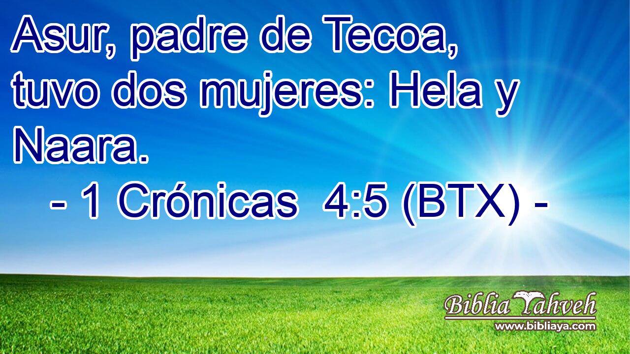 Asur, padre de Tecoa, tuvo dos mujeres: Hela y Naara.