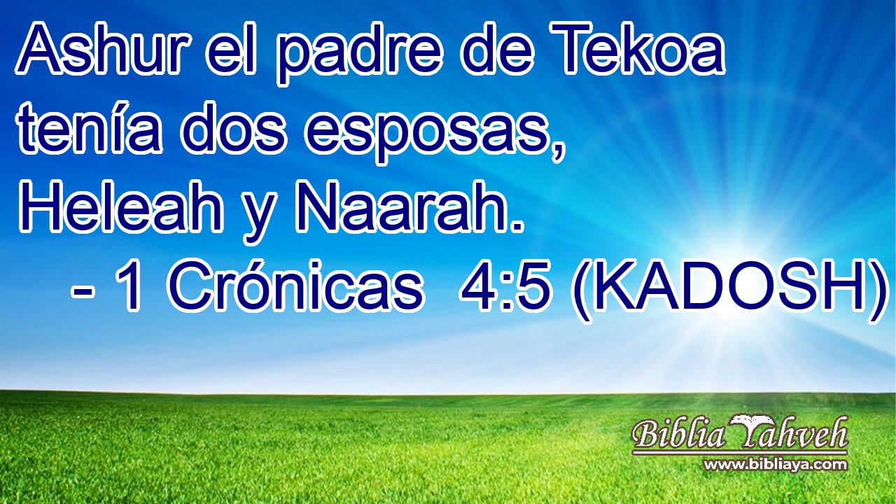  Ashur el padre de Tekoa tenía dos esposas, Heleah y Naarah. 