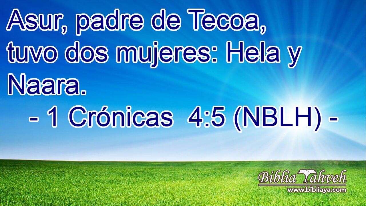  Asur, padre de Tecoa, tuvo dos mujeres: Hela y Naara. 