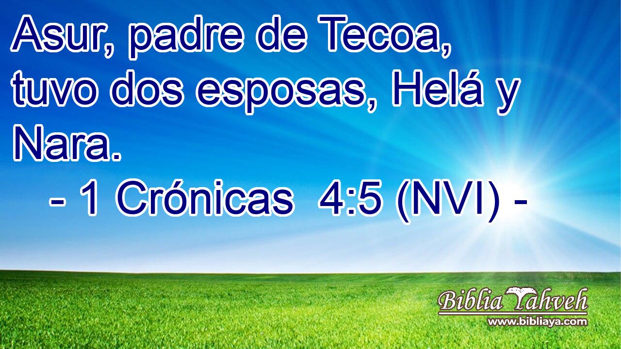  Asur, padre de Tecoa, tuvo dos esposas, Helá y Nara. 