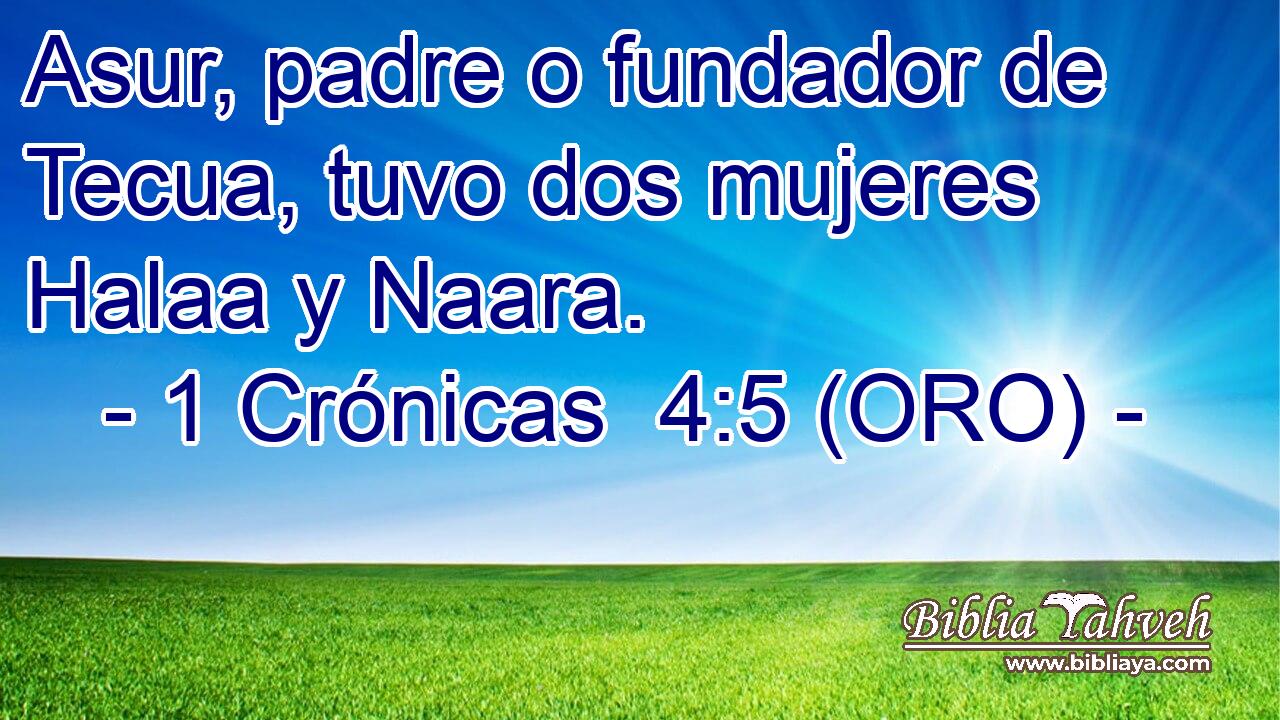  Asur, padre o fundador de Tecua, tuvo dos mujeres Halaa y Naara. 