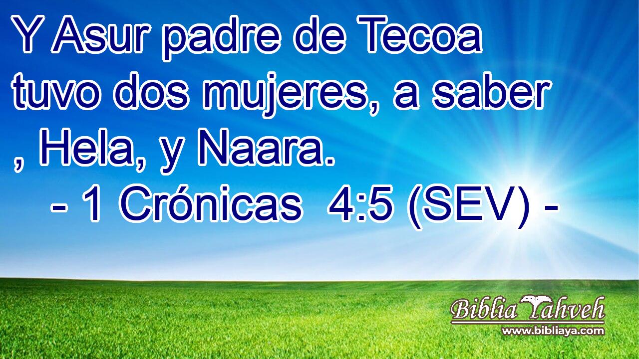 Y Asur padre de Tecoa tuvo dos mujeres, a saber , Hela, y Naara.