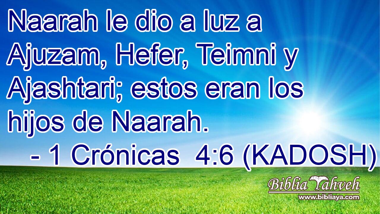  Naarah le dio a luz a Ajuzam, Hefer, Teimni y Ajashtari; estos eran los hijos de Naarah. 