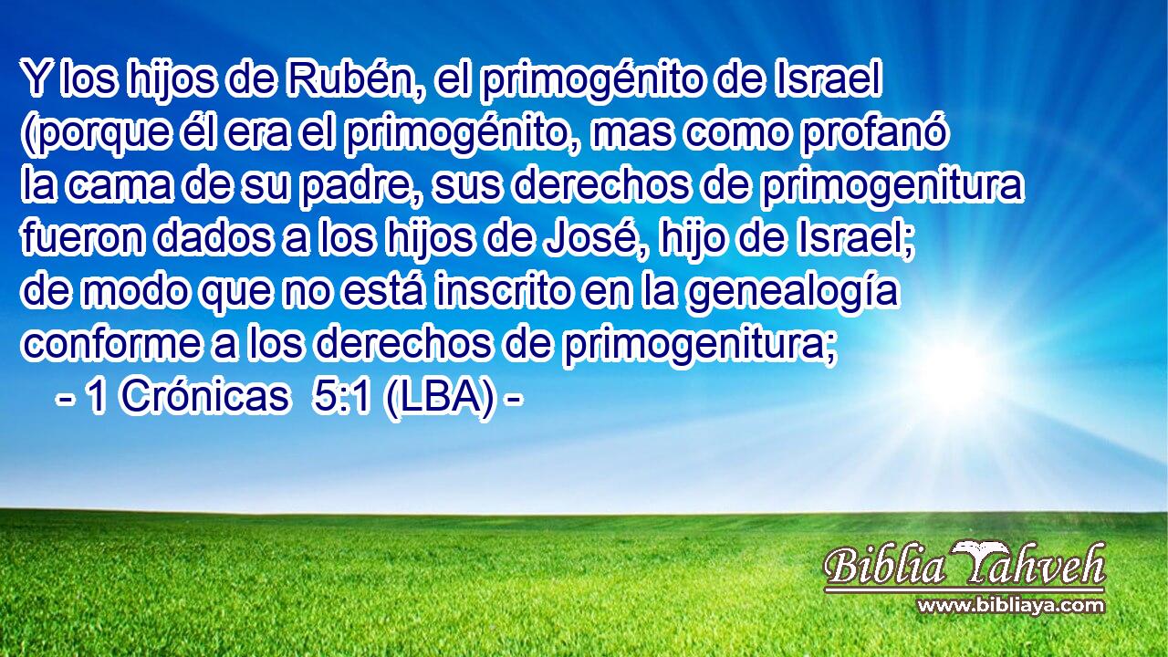 Y los hijos de Rubén, el primogénito de Israel (porque él era el primogénito, mas como profanó la cama de su padre, sus derechos de primogenitura fueron dados a los hijos de José, hijo de Israel; de modo que no está inscrito en la genealogía conforme a los derechos de primogenitura;