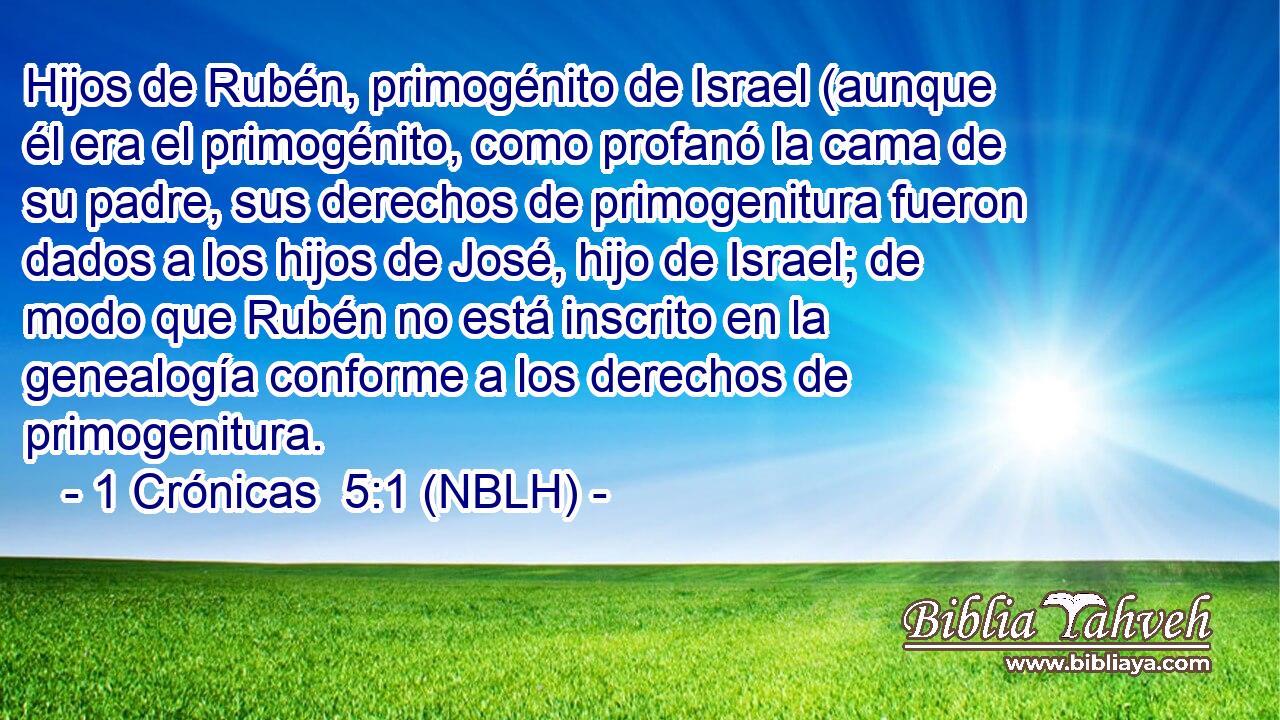  Hijos de Rubén, primogénito de Israel (aunque él era el primogénito, como profanó la cama de su padre, sus derechos de primogenitura fueron dados a los hijos de José, hijo de Israel; de modo que Rubén no está inscrito en la genealogía conforme a los derechos de primogenitura. 