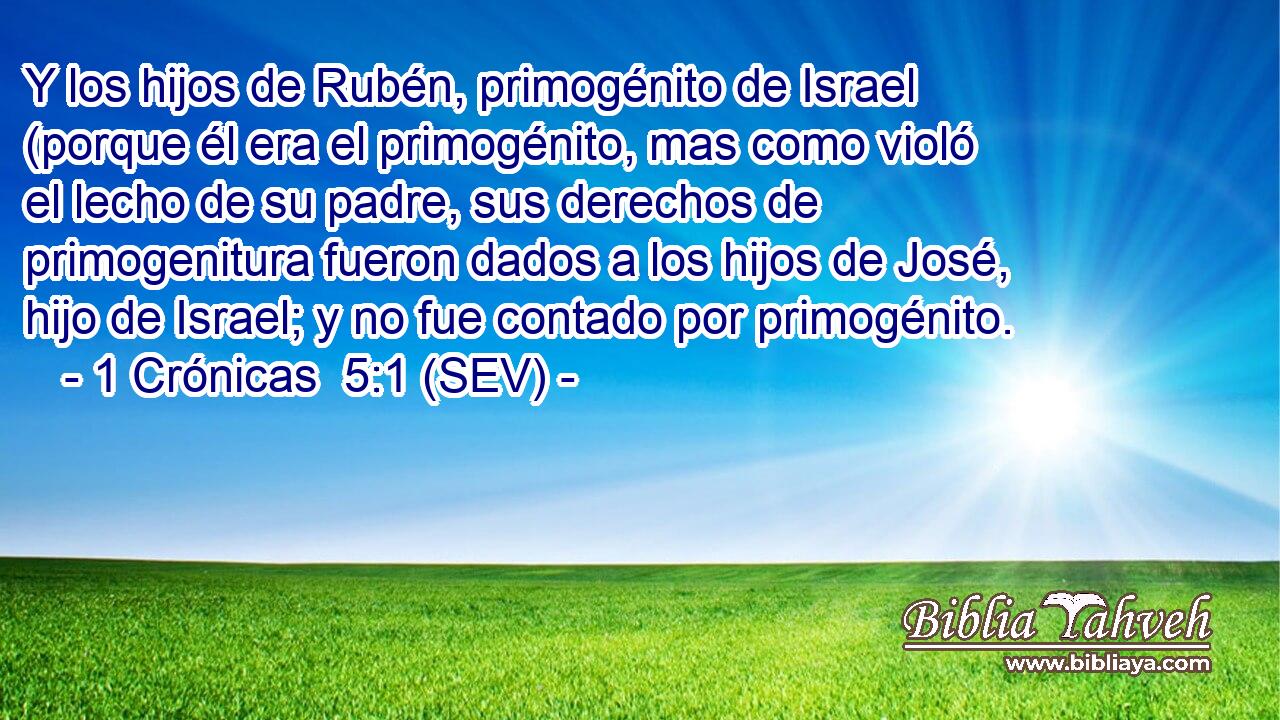Y los hijos de Rubén, primogénito de Israel (porque él era el primogénito, mas como violó el lecho de su padre, sus derechos de primogenitura fueron dados a los hijos de José, hijo de Israel; y no fue contado por primogénito.