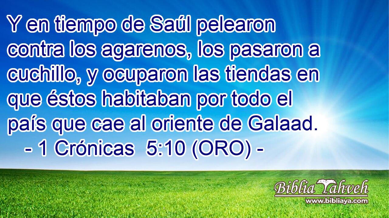  Y en tiempo de Saúl pelearon contra los agarenos, los pasaron a cuchillo, y ocuparon las tiendas en que éstos habitaban por todo el país que cae al oriente de Galaad. 