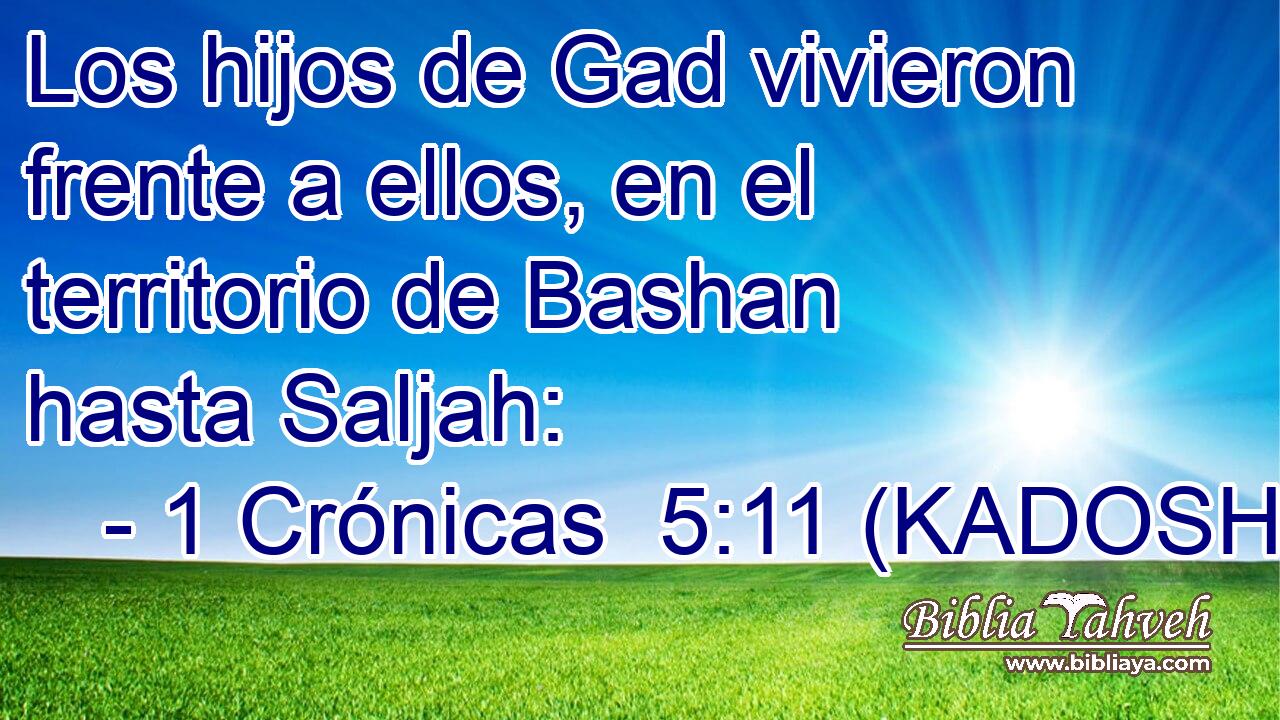  Los hijos de Gad vivieron frente a ellos, en el territorio de Bashan hasta Saljah: 