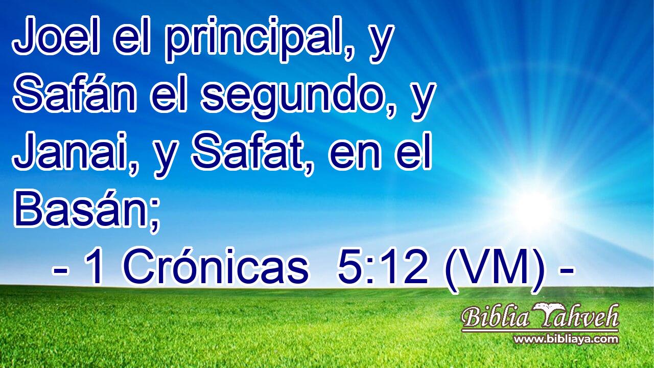  Joel el principal, y Safán el segundo, y Janai, y Safat, en el Basán; 