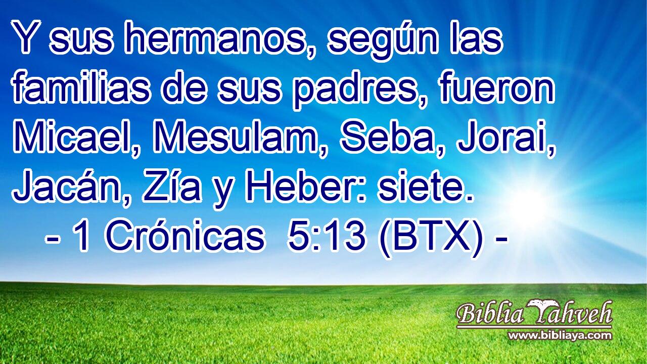 Y sus hermanos, según las familias de sus padres, fueron Micael, Mesulam, Seba, Jorai, Jacán, Zía y Heber: siete.