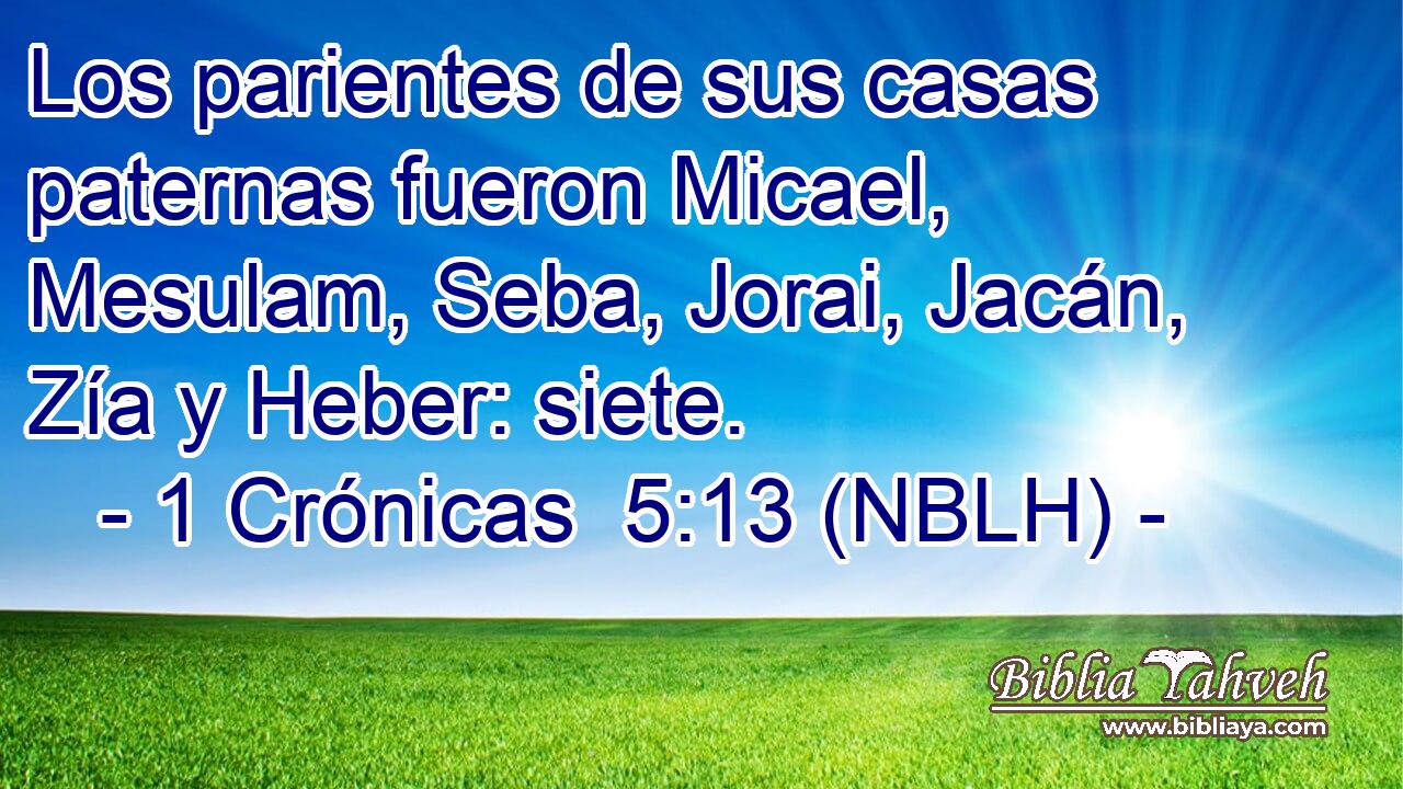  Los parientes de sus casas paternas fueron Micael, Mesulam, Seba, Jorai, Jacán, Zía y Heber: siete. 