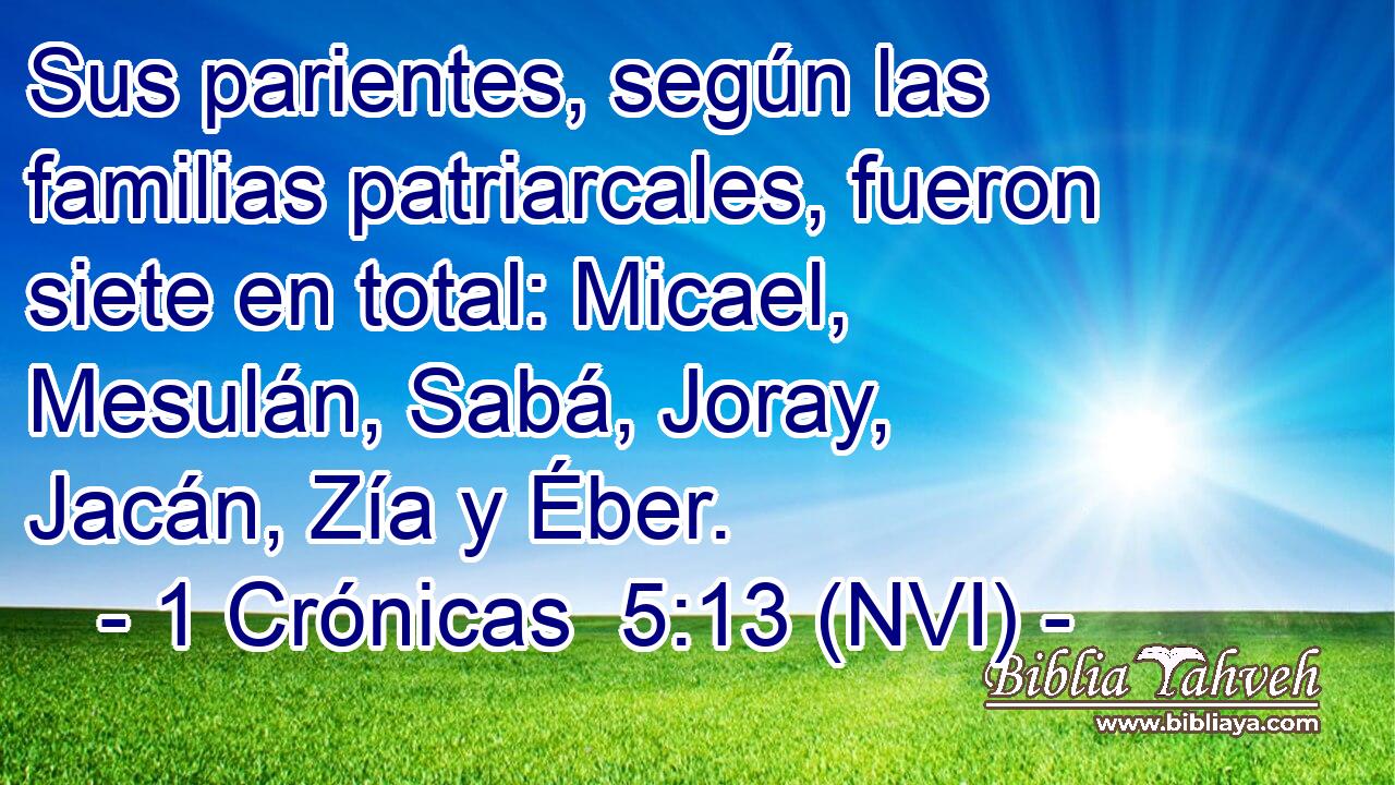  Sus parientes, según las familias patriarcales, fueron siete en total: Micael, Mesulán, Sabá, Joray, Jacán, Zía y Éber. 