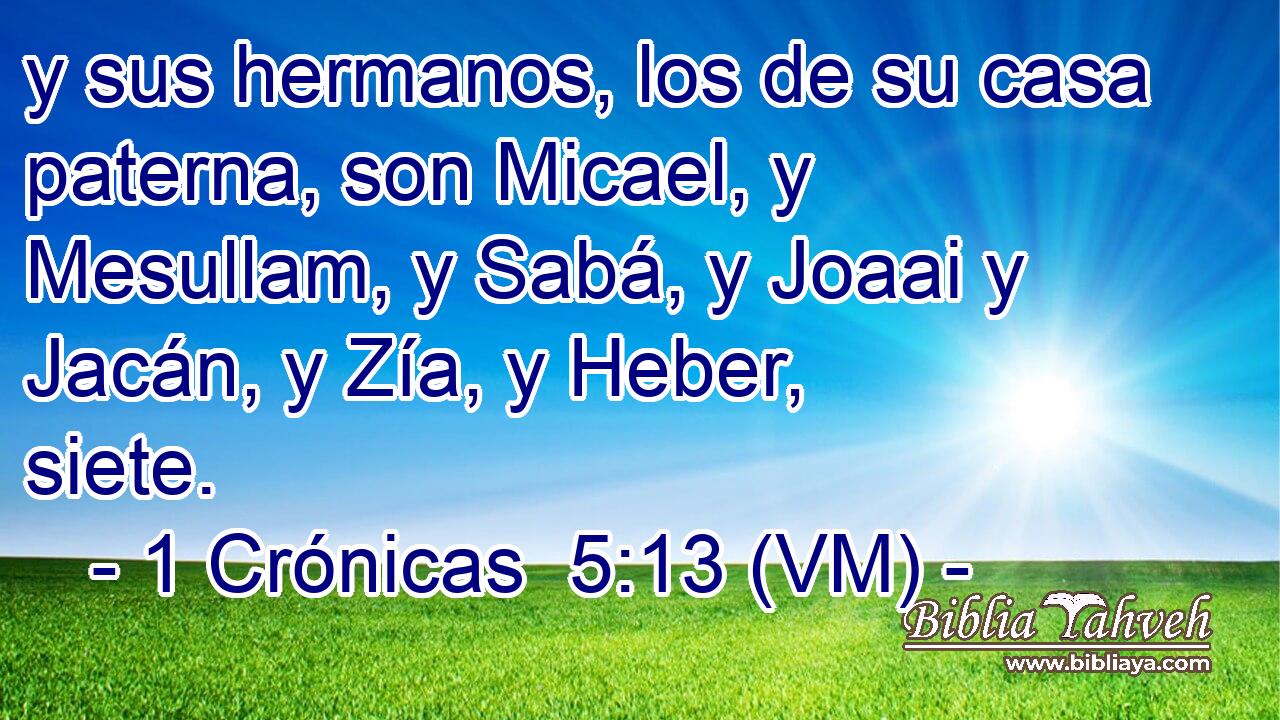  y sus hermanos, los de su casa paterna, son Micael, y Mesullam, y Sabá, y Joaai y Jacán, y Zía, y Heber, siete. 
