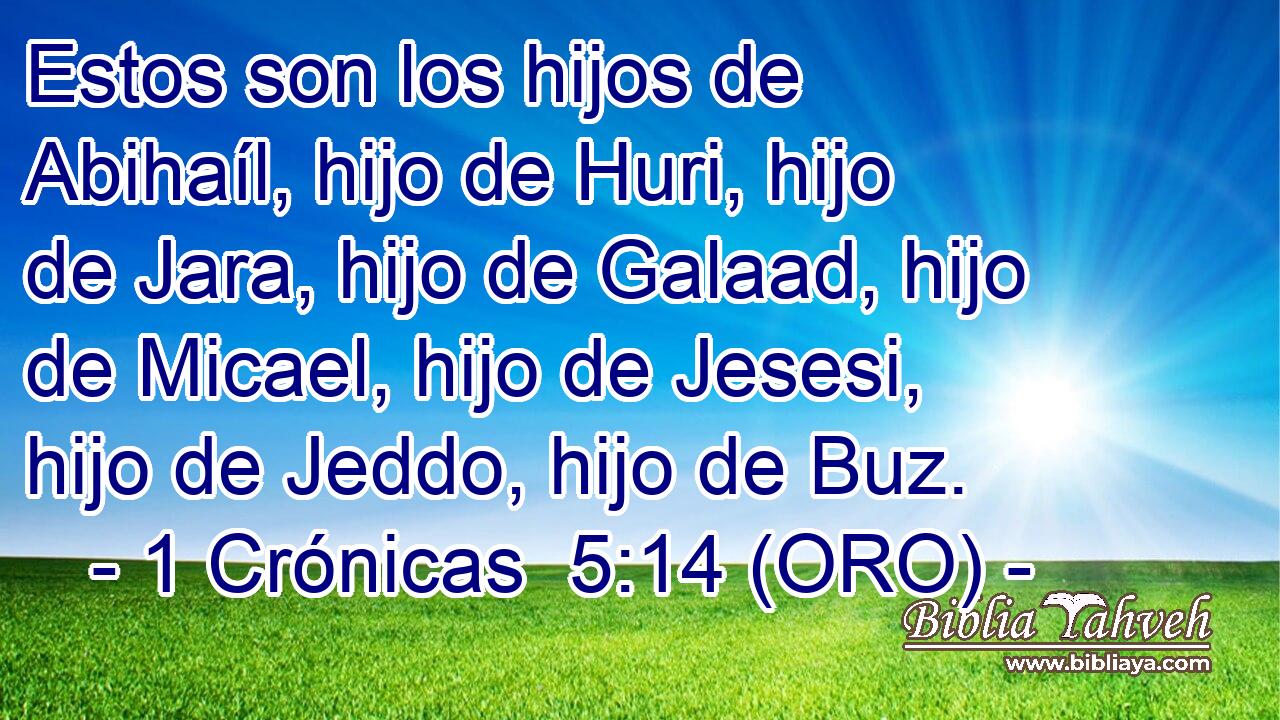  Estos son los hijos de Abihaíl, hijo de Huri, hijo de Jara, hijo de Galaad, hijo de Micael, hijo de Jesesi, hijo de Jeddo, hijo de Buz. 