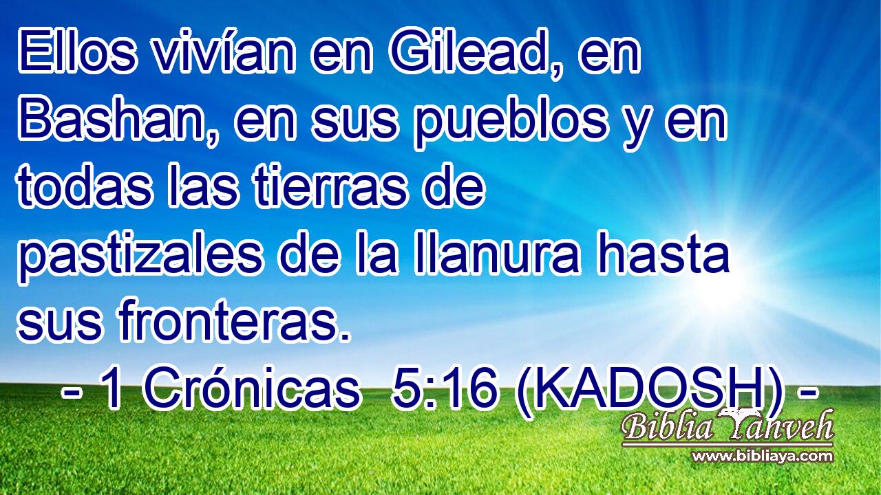 Ellos vivían en Gilead, en Bashan, en sus pueblos y en todas las tierras de pastizales de la llanura hasta sus fronteras. 