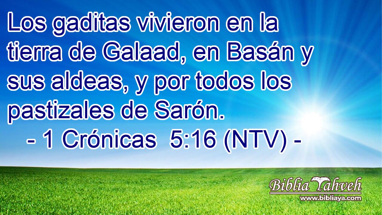 Los gaditas vivieron en la tierra de Galaad, en Basán y sus aldeas, y por todos los pastizales de Sarón.