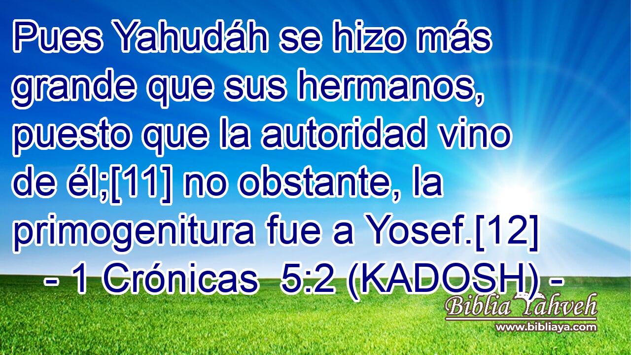  Pues Yahudáh se hizo más grande que sus hermanos, puesto que la autoridad vino de él;[11] no obstante, la primogenitura fue a Yosef.[12] 
