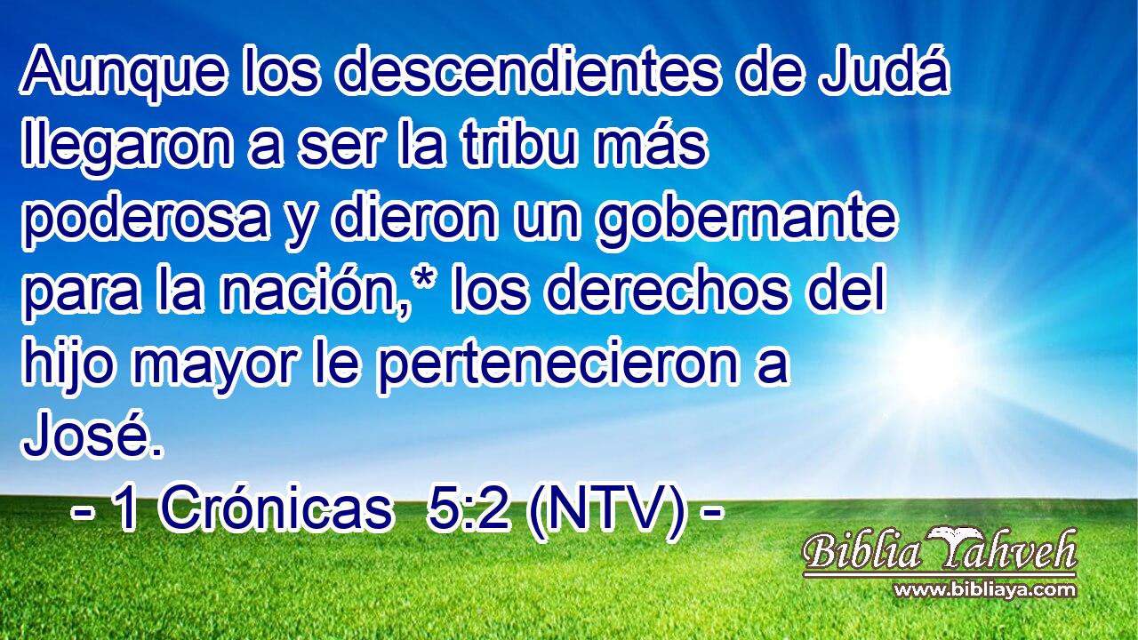 Aunque los descendientes de Judá llegaron a ser la tribu más poderosa y dieron un gobernante para la nación,* los derechos del hijo mayor le pertenecieron a José.