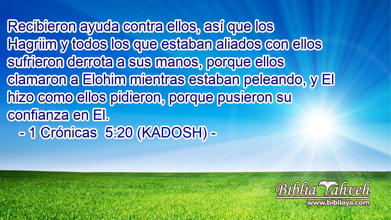  Recibieron ayuda contra ellos, así que los Hagriim y todos los que estaban aliados con ellos sufrieron derrota a sus manos, porque ellos clamaron a Elohim mientras estaban peleando, y El hizo como ellos pidieron, porque pusieron su confianza en El. 