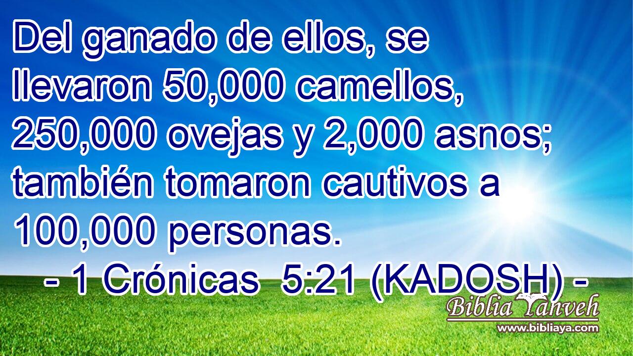  Del ganado de ellos, se llevaron 50,000 camellos, 250,000 ovejas y 2,000 asnos; también tomaron cautivos a 100,000 personas. 