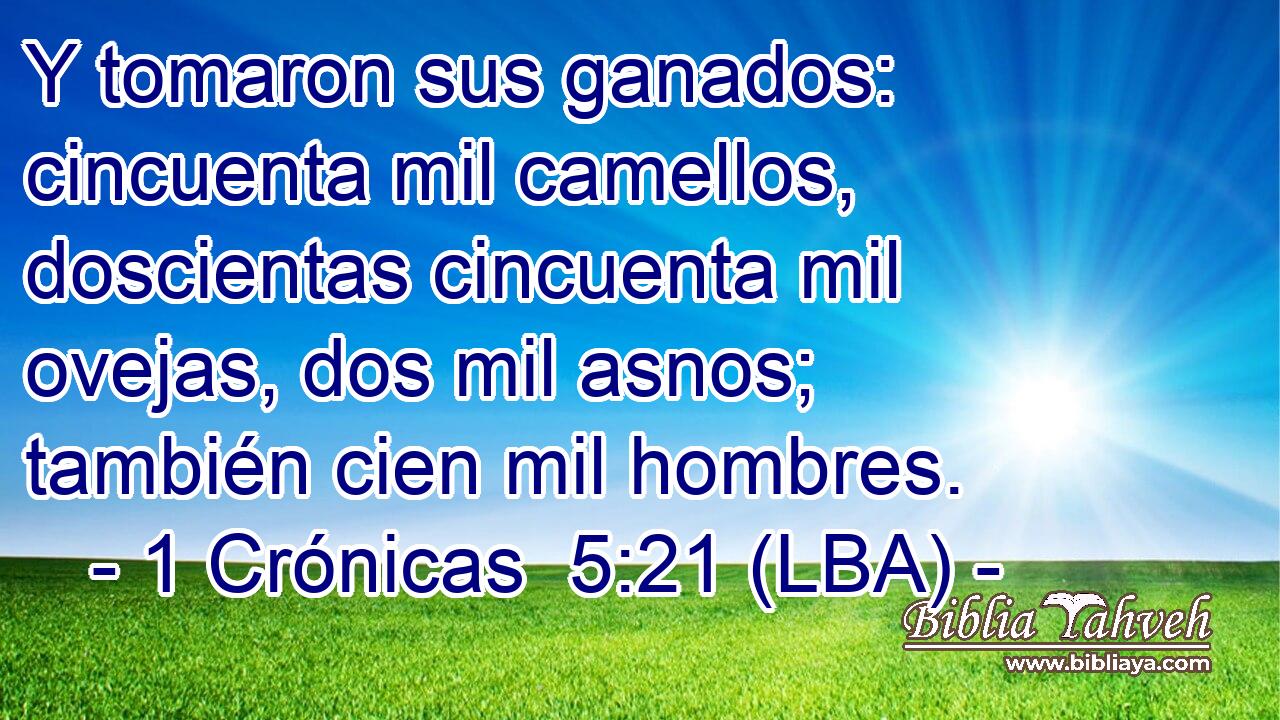 Y tomaron sus ganados: cincuenta mil camellos, doscientas cincuenta mil ovejas, dos mil asnos; también cien mil hombres.