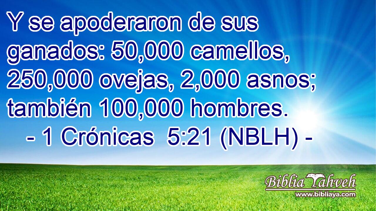  Y se apoderaron de sus ganados: 50,000 camellos, 250,000 ovejas, 2,000 asnos; también 100,000 hombres. 