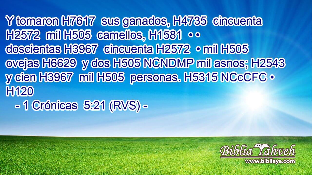 Y tomaron H7617  sus ganados, H4735  cincuenta H2572  mil H505  camellos, H1581  • • doscientas H3967  cincuenta H2572  • mil H505  ovejas H6629  y dos H505 NCNDMP mil asnos; H2543  y cien H3967  mil H505  personas. H5315 NCcCFC • H120  