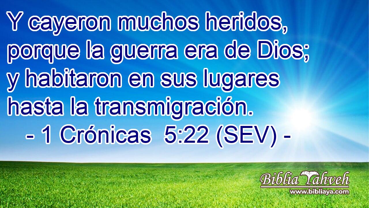 Y cayeron muchos heridos, porque la guerra era de Dios; y habitaron en sus lugares hasta la transmigración.