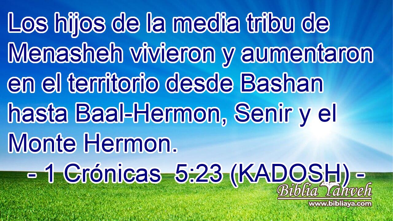  Los hijos de la media tribu de Menasheh vivieron y aumentaron en el territorio desde Bashan hasta Baal-Hermon, Senir y el Monte Hermon. 