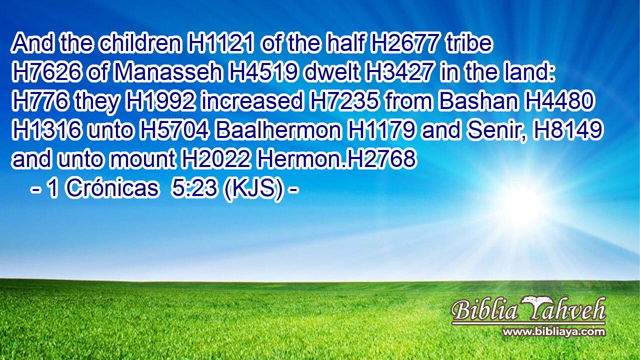 And the children H1121 of the half H2677 tribe H7626 of Manasseh H4519 dwelt H3427 in the land: H776 they H1992 increased H7235 from Bashan H4480  H1316 unto H5704 Baalhermon H1179 and Senir, H8149 and unto mount H2022 Hermon.H2768