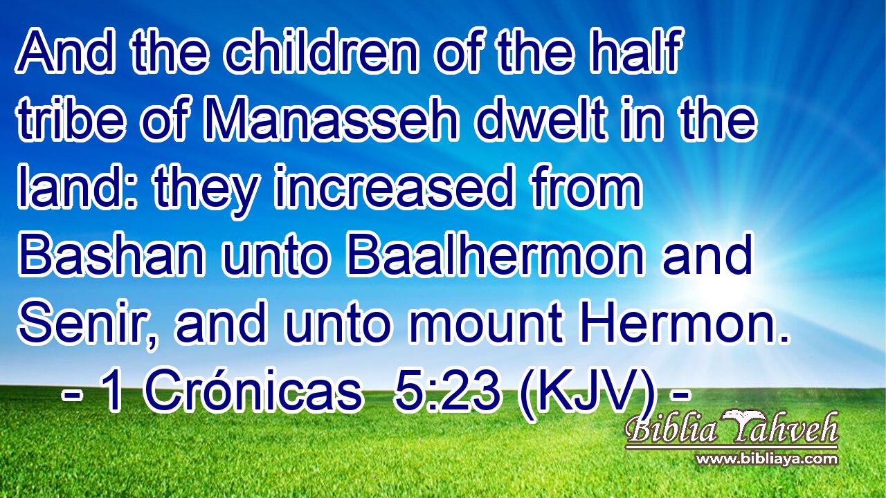 And the children of the half tribe of Manasseh dwelt in the land: they increased from Bashan unto Baalhermon and Senir, and unto mount Hermon.