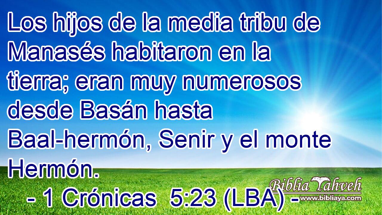 Los hijos de la media tribu de Manasés habitaron en la tierra; eran muy numerosos desde Basán hasta Baal-hermón, Senir y el monte Hermón.
