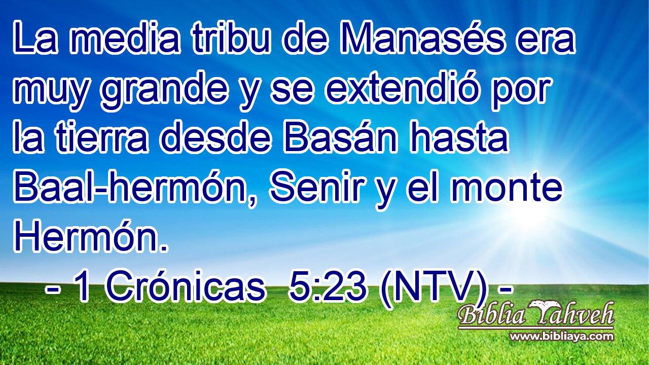 La media tribu de Manasés era muy grande y se extendió por la tierra desde Basán hasta Baal-hermón, Senir y el monte Hermón.