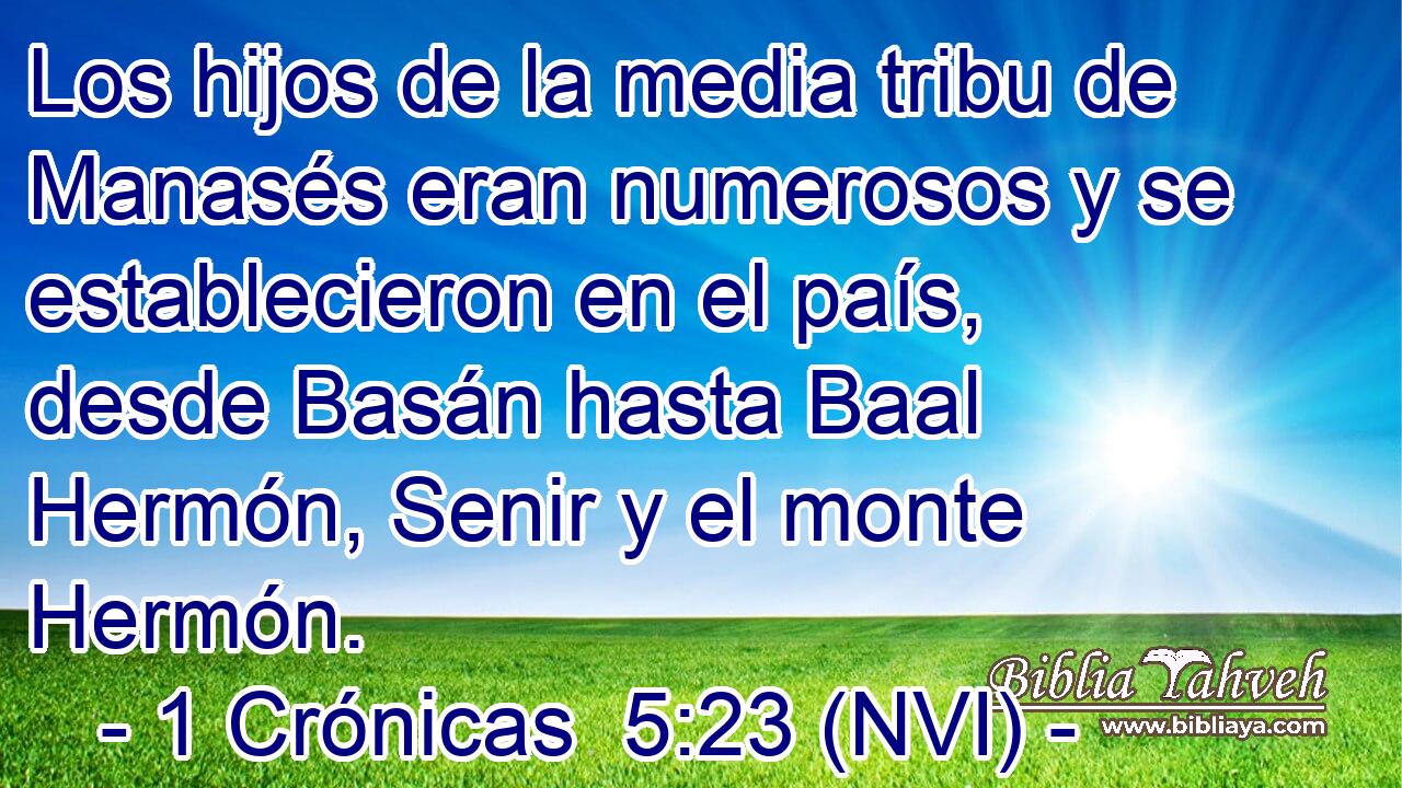  Los hijos de la media tribu de Manasés eran numerosos y se establecieron en el país, desde Basán hasta Baal Hermón, Senir y el monte Hermón. 