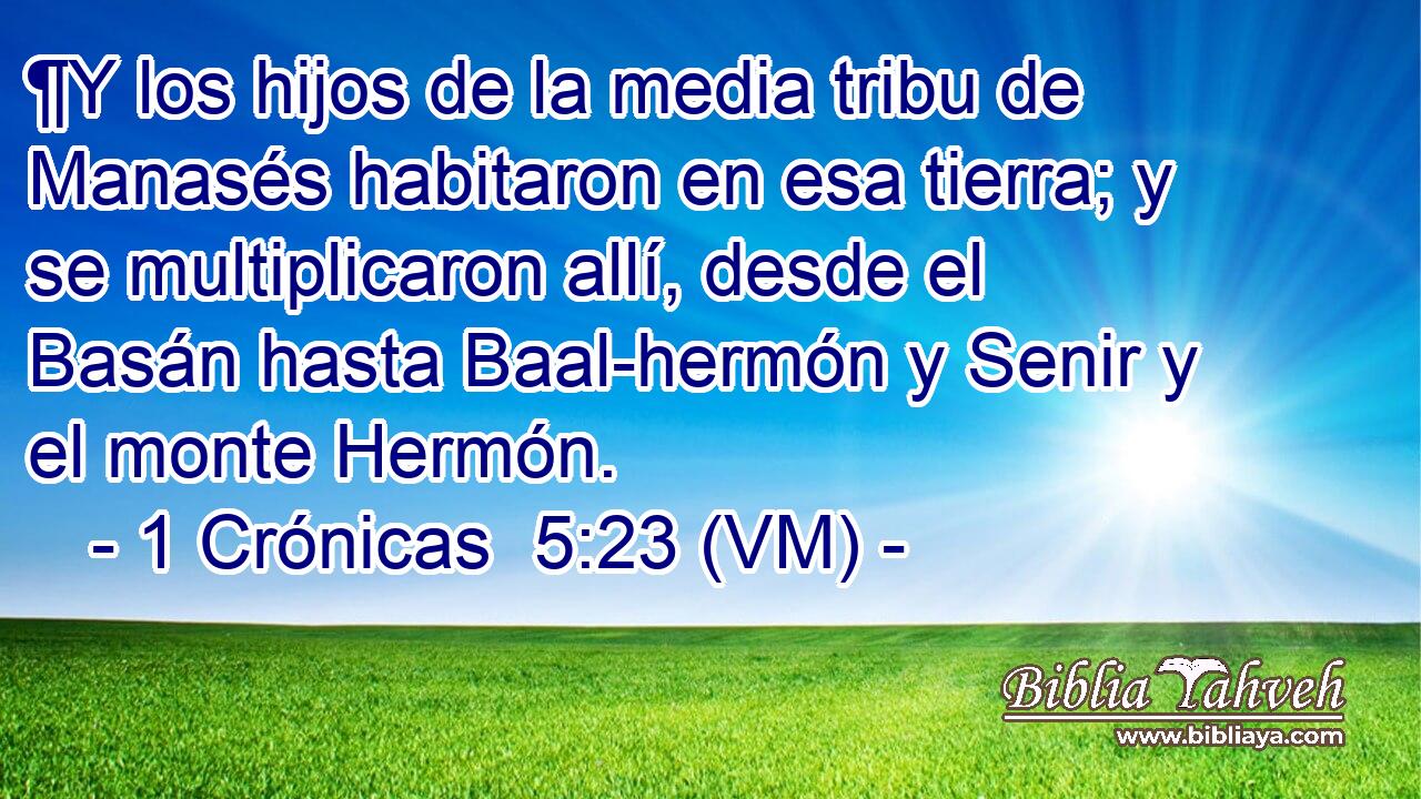  ¶Y los hijos de la media tribu de Manasés habitaron en esa tierra; y se multiplicaron allí, desde el Basán hasta Baal-hermón y Senir y el monte Hermón. 