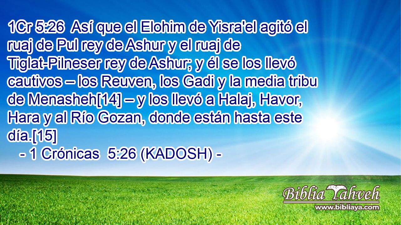  Así que el Elohim de Yisra'el agitó el ruaj de Pul rey de Ashur y el ruaj de Tiglat-Pilneser rey de Ashur; y él se los llevó cautivos – los Reuven, los Gadi y la media tribu de Menasheh[14] – y los llevó a Halaj, Havor, Hara y al Río Gozan, donde están hasta este día.[15] 