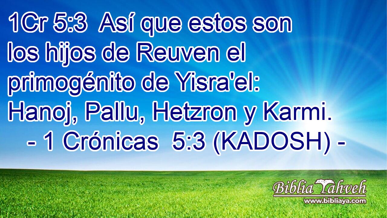  Así que estos son los hijos de Reuven el primogénito de Yisra'el: Hanoj, Pallu, Hetzron y Karmi. 