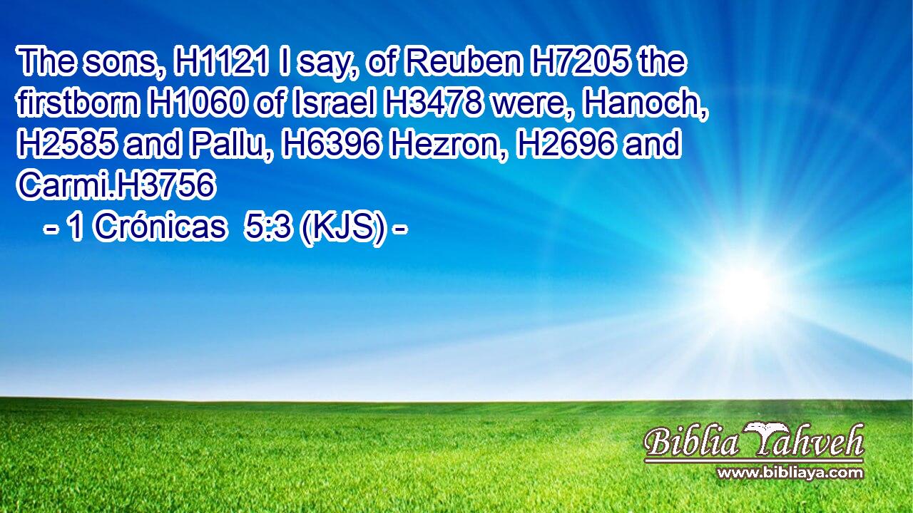 The sons, H1121 I say, of Reuben H7205 the firstborn H1060 of Israel H3478 were, Hanoch, H2585 and Pallu, H6396 Hezron, H2696 and Carmi.H3756