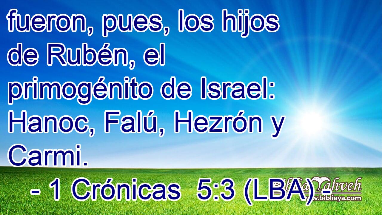 fueron, pues, los hijos de Rubén, el primogénito de Israel: Hanoc, Falú, Hezrón y Carmi.
