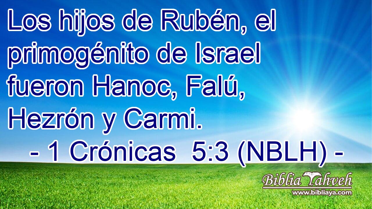  Los hijos de Rubén, el primogénito de Israel fueron Hanoc, Falú, Hezrón y Carmi. 