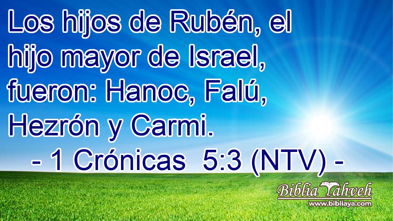 Los hijos de Rubén, el hijo mayor de Israel, fueron: Hanoc, Falú, Hezrón y Carmi.
