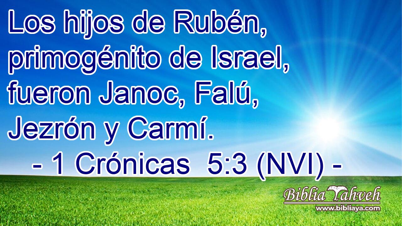  Los hijos de Rubén, primogénito de Israel, fueron Janoc, Falú, Jezrón y Carmí. 