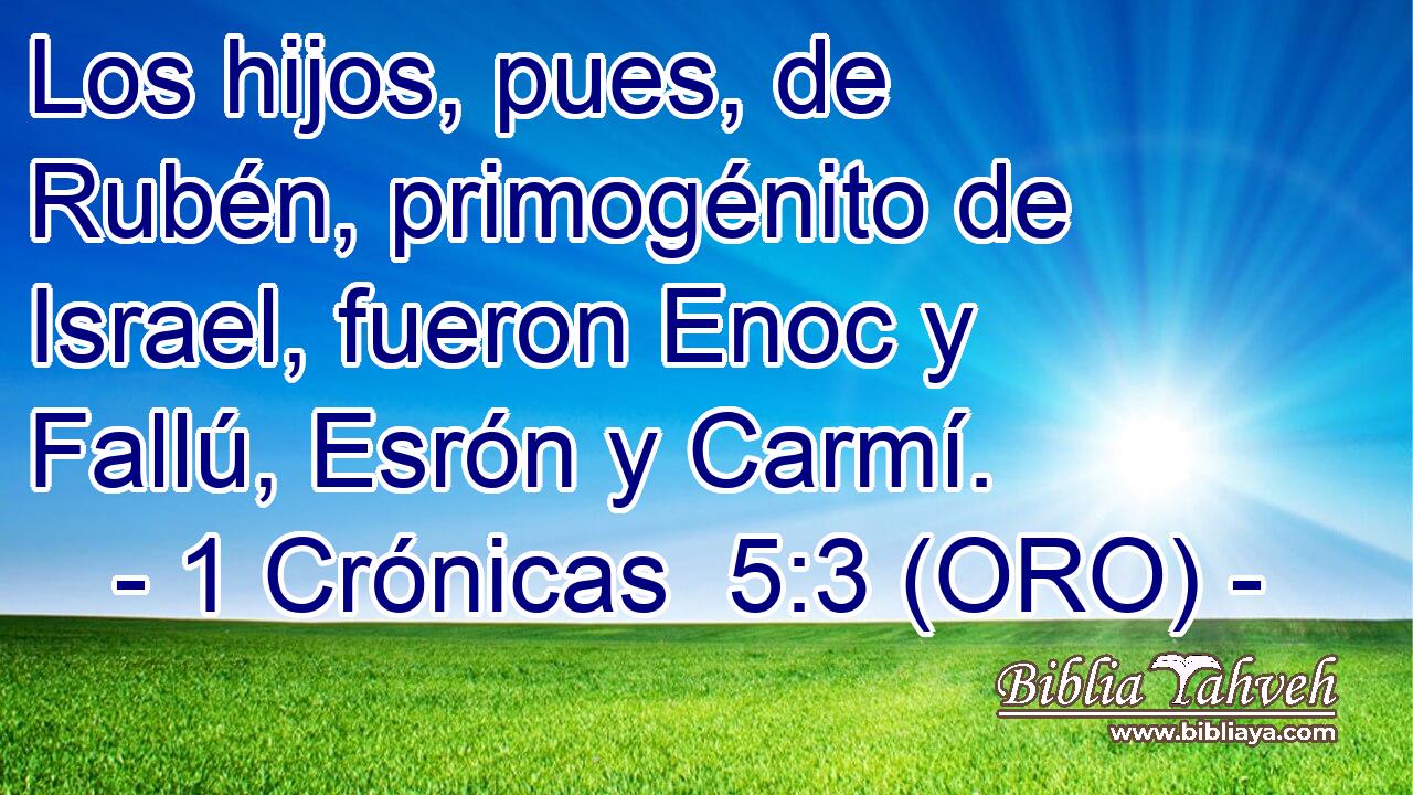  Los hijos, pues, de Rubén, primogénito de Israel, fueron Enoc y Fallú, Esrón y Carmí. 