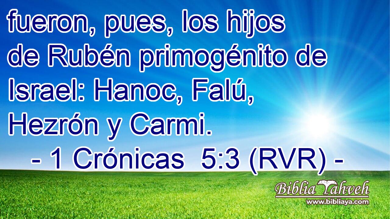 fueron, pues, los hijos de Rubén primogénito de Israel: Hanoc, Falú, Hezrón y Carmi.