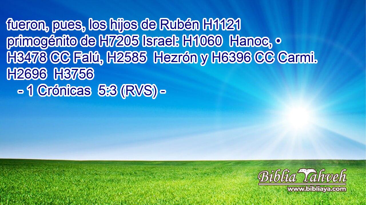 fueron, pues, los hijos de Rubén H1121  primogénito de H7205 Israel: H1060  Hanoc, • H3478 CC Falú, H2585  Hezrón y H6396 CC Carmi. H2696  H3756 