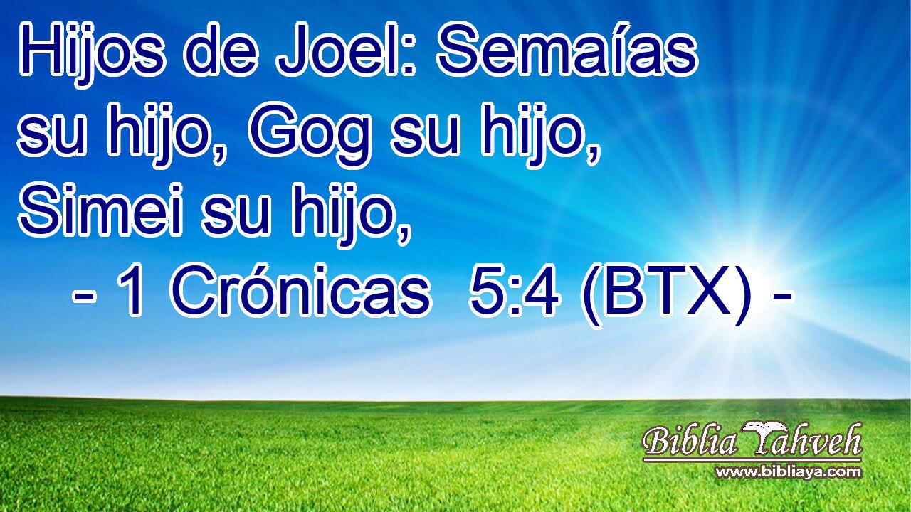 Hijos de Joel: Semaías su hijo, Gog su hijo, Simei su hijo,